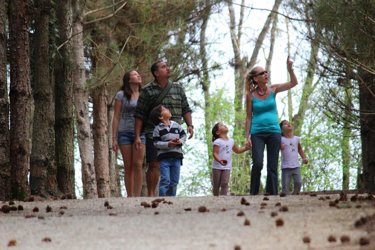 Village Vacances - Defiplanet' Dienne  Luaran gambar